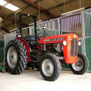 Tafe Classic 2WD Tractor